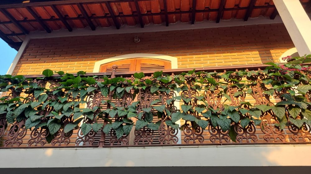 Casa - Venda - Jardim Salessi - Itatiba - SP