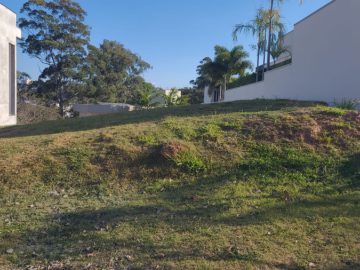 timo Terreno no Ravenna